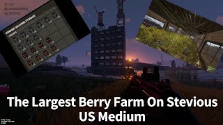 The Largest Berry Farm On Stevious US Medium │Rust [upl. by Jeanette698]