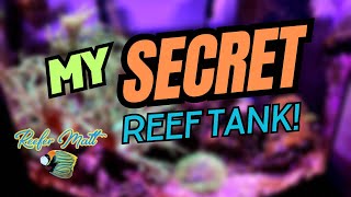 My quotSecretquot Reef Tank [upl. by Ydaf]