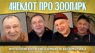 Анекдот про зоопарк интеллигентную семю и бегемотика [upl. by Nnaira]