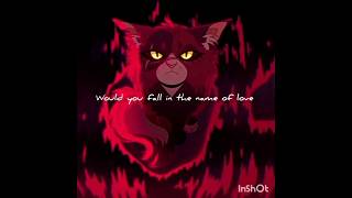 Mapleshade edit warriorcats edit [upl. by Ettenauq959]