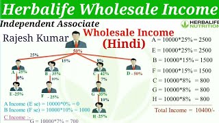 Herbalife Wholesale Income All Details in Hindi  हर्बल लाइफ में Wholesale Income की पूरी जानकारी [upl. by Ynehteb213]