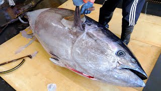 337kg 초대형 참다랑어 한마리 2500만원 달인의 생참치 해체쇼  사시미 초밥  Giant bluefin tuna cutting show  Taiwanese food [upl. by Eetnahc542]