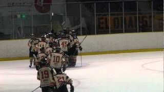 20112012 Asia League Ice Hockey FINAL GAME1 fight [upl. by Anat]