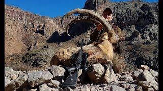 Bezoar Ibex Hunting Attila amp Turkish Frontier Outdoor Adventure Co [upl. by Carley]