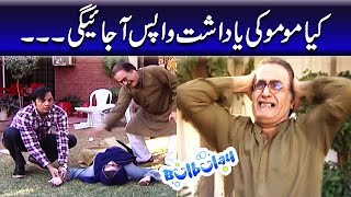 Kiya Momo Ki Yaadasht Wapis Ajaige  Bulbulay [upl. by Nnyleimaj]