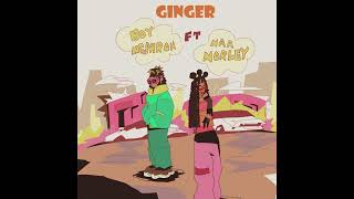 Boy Nephron Ft Naa Norley  Ginger Official Audio [upl. by Atinor]