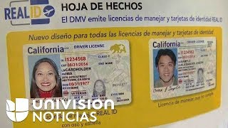 California emite nuevas licencias de conducir pero los indocumentados no las podrán solicitar [upl. by Enerahs]