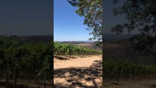 Mayacamas Vineyard Tour [upl. by Afirahs415]