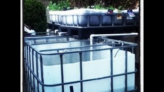 Aquaponics BackYard System  How to build Part2 [upl. by Hermann]