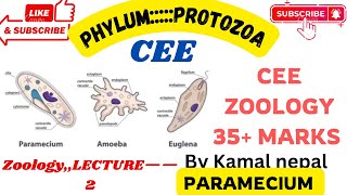 Phylum Protozoa  paramecium by Kamal Nepal sir with best lectures and notes via students [upl. by Enyawud582]