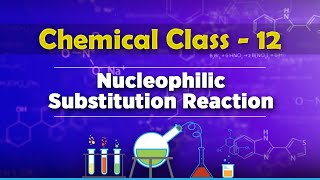 Nucleophilic Substitution Reaction  Halogen Derivatives of Alkane Chemistry Class 12 [upl. by Kenlee347]