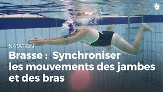 Comment synchroniser les mouvements des jambes et des bras  Brasse coulée [upl. by Stinson245]