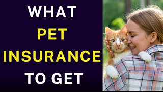 What to Consider When Getting Pet Insurance [upl. by Mortie]