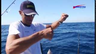 Italian Fishing Tv  Tubertini  Bolentino su relitto [upl. by Milton]