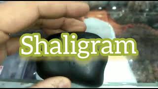 Shaligram from Kali Gandaki River Nepal HorizonX [upl. by Ardnosal]