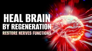 Brain Plasticity  Heal Brain By Regeneration  Restore Nerves Functions  528 Hz Isochronic Tones [upl. by Sloan]