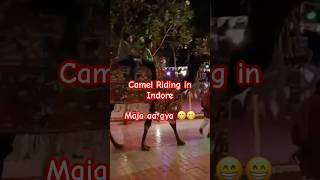 Camel riding ytshort short running rider walk [upl. by Heydon]