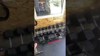 PowerBlocks or Dumbbells [upl. by Teerpnam755]