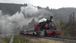 TREN EL VALDIVIANO  VALDIVIA  ANTILHUE PATRIMONIO FERROVIARIO VALDIVIA [upl. by Acirderf263]