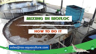 How Important is Mixing for Biofloc Shrimp Farming  Type of Mixing System for Aquaculture [upl. by Milman]