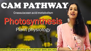 CAM PATHWAY I Crassulacean acid metabolism I Plant Physiology I Photosynthesis I CSIRNET IITJAM NEET [upl. by Annaehr919]