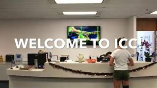 How To Find ICC Hawaii [upl. by Ado]