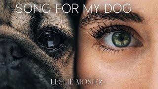 Song For My Dog  Leslie Mosier [upl. by Belden]