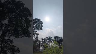 আমাদের গ্রাম 😍 trendingshorts  weather natural Vibes nature [upl. by Eniffit]