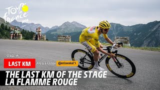 Last Km  Stage 19  Tour de France 2024 [upl. by Nylrahc]