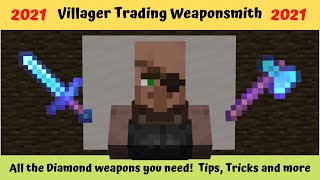 Villager Trading Weaponsmith [upl. by Power]