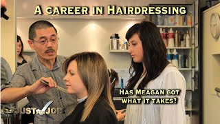 Hairdressing Careers [upl. by Notlrahc256]