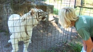 Talking to Tigers [upl. by Collin]