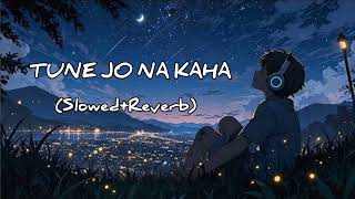 Tune Jo na kaha Slowedreverb  Sad song  Lofi song  WYC AGR LOFI [upl. by Enirrok]