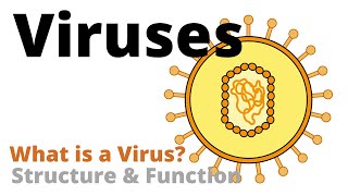 Structure and Function of a Virus Virology Basics [upl. by Krissie]