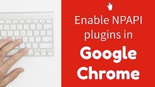 Enable NPAPI plugins in Google Chrome [upl. by Karola798]