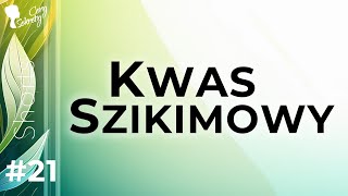 KWAS SZIKIMOWY  ŚWIETNA ALTERNATYWA DLA KWASU SALICYLOWGO [upl. by Marianne]