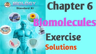 Chapter 6 Biomolecules Class 11 Biology Exercise Solutions Maharashtra Boardclass11 biology [upl. by Aletha]