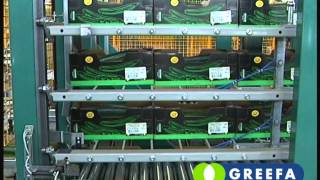 GREEFA  QSort sorting machine for cucumbers location LGV Austria [upl. by Jadwiga139]