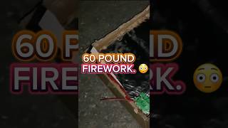 THIS INSANE FIREWORK COSTS 300… fireworks pyrotechnics shorts [upl. by Chanda720]