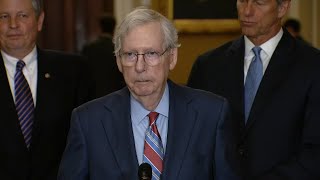 Senate Minority Leader Mitch McConnell freezes during news conference [upl. by Inesita242]