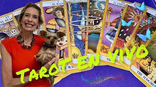 ⭐️DESCUBRE TU DESTINO LECTURAS TAROT GRATIS PAYPAL SUPERCHAT MP tarot [upl. by Nywroc]