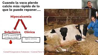 Trastornos de Salud de la Vacas FrescaHipocalcemia Fresh Cow DisordersHypocalcemia [upl. by Vale514]