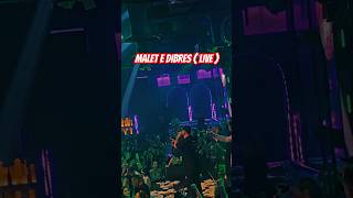 NOIZY  MALET E DIBRES  LIVE [upl. by Nesrac57]