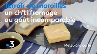 Le maroilles un chti fromage au goût incomparable  Météo à la carte [upl. by Griseldis]