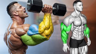 ARM DAY Biceps Triceps and Forearms Effective Workout [upl. by Hermon]