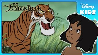 🐯 Mowgli Faces Shere Khan  Jungle Book  Disney Kids [upl. by Doble969]