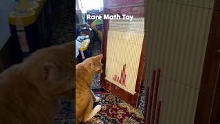 cats vs large galton board math gadget 😎 shorts [upl. by Stambaugh758]