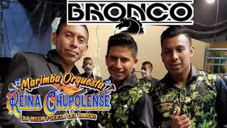 Reina chupolense mix Bronco 2020 [upl. by Redmond]