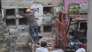 En un cementerio están sacando a los muertos de sus tumbas [upl. by Lu]