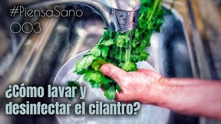 ¿Cómo lavar y desinfectar el cilantro sin el uso de químicos de una forma sana y natural [upl. by Reifnnej]